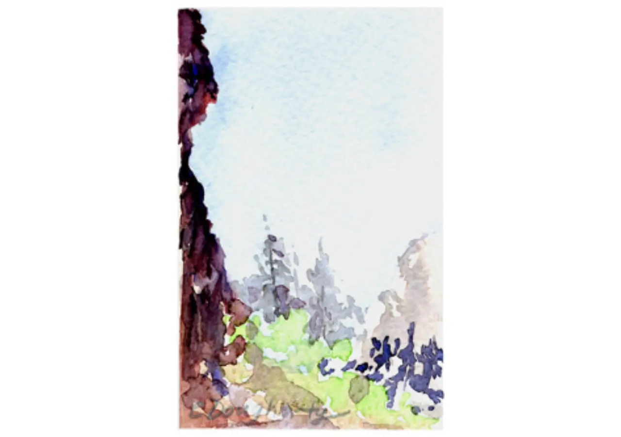 Watercolor landscape with trees and rocks.
